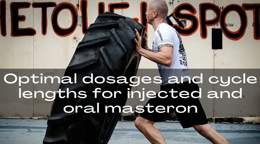 Optimal dosages and cycle lengths for injected and oral masteron